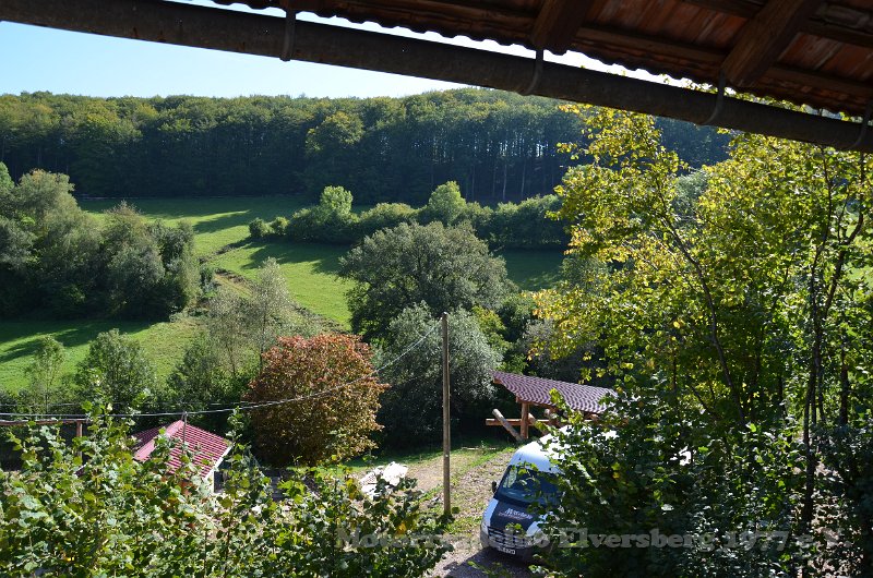 Schwarzwald 2021 - 065